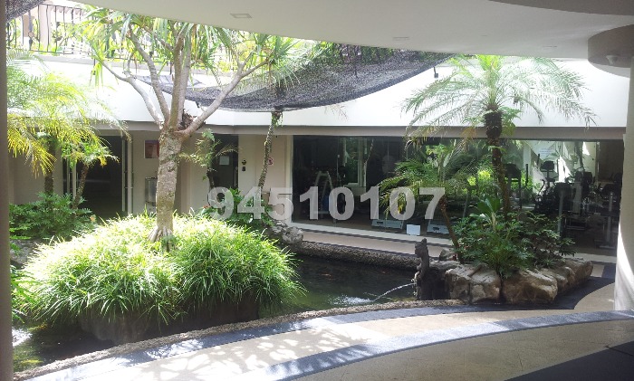 Horizon Gardens (D20), Terrace #776012